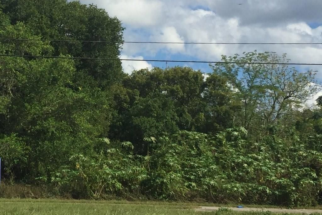 Frontage View  along US 41