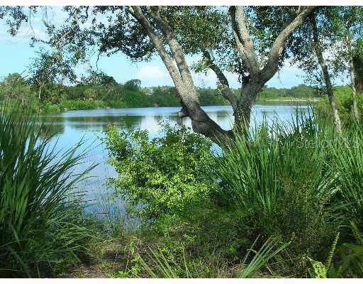 Other - Enjoy the Braden River. Fish, play, see the wildlife. Easy ride to the Manatee River, 5 mi. north.