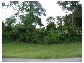 En Venta: $17,500 (1.03 acres)