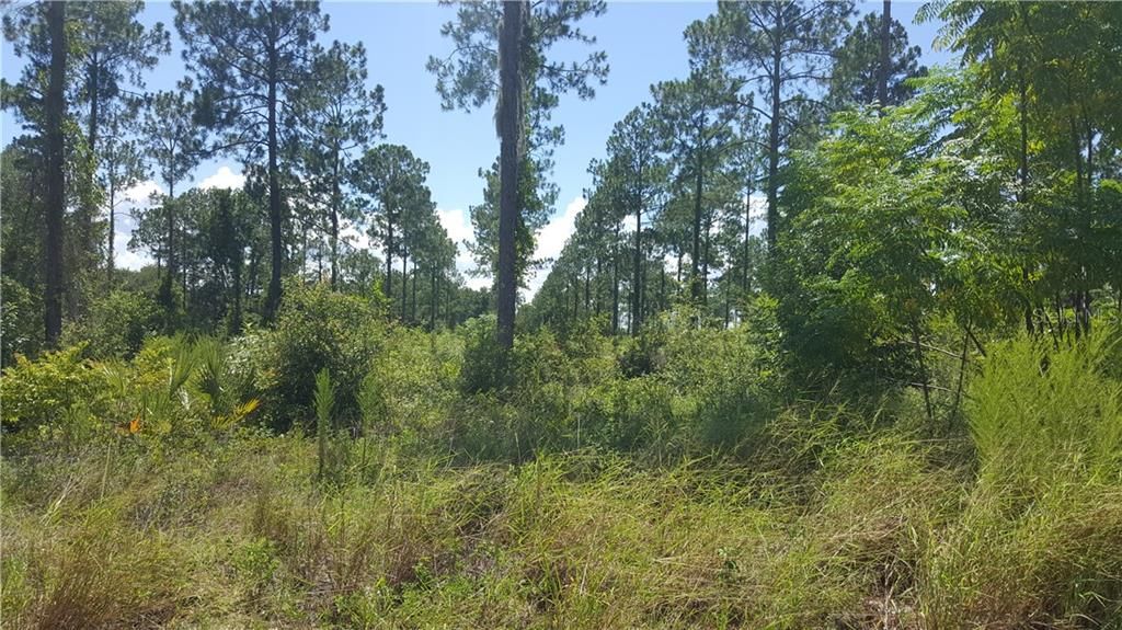 Vendido Recientemente: $2,750,000 (30.93 acres)