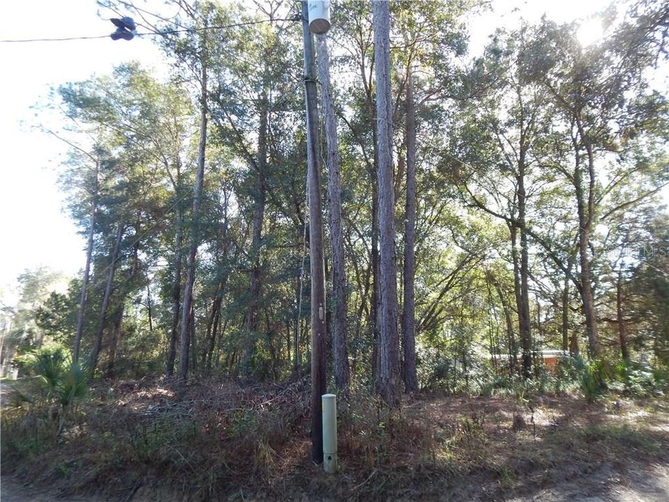 Vendido Recientemente: $9,900 (0.24 acres)