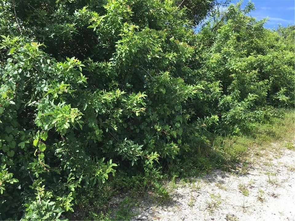 Vendido Recientemente: $2,700 (0.11 acres)