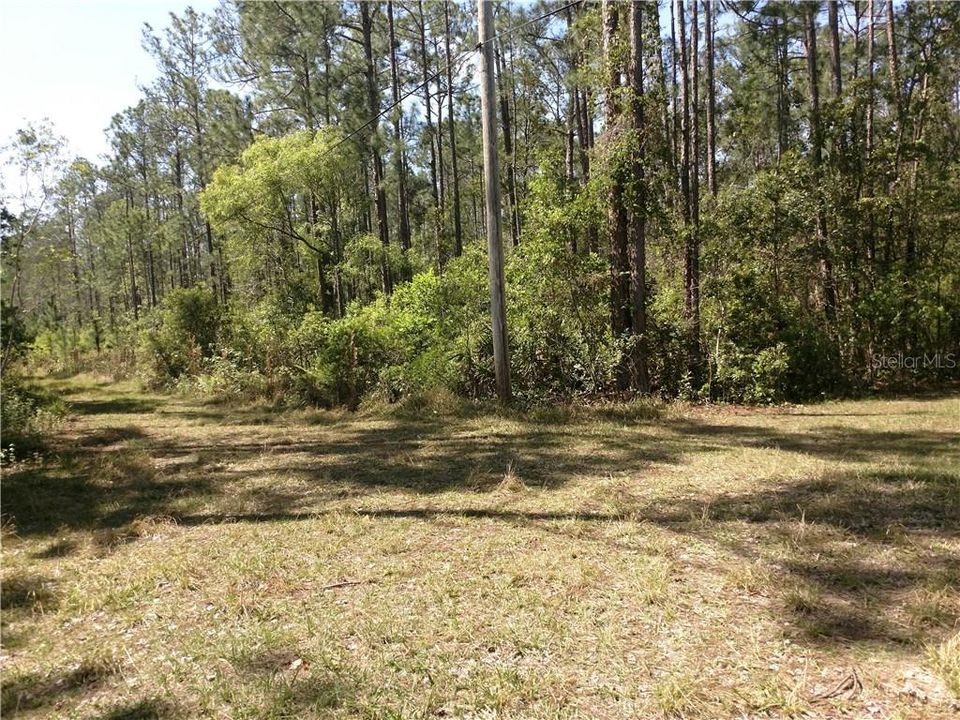 Recently Sold: $19,000 (2.50 acres)