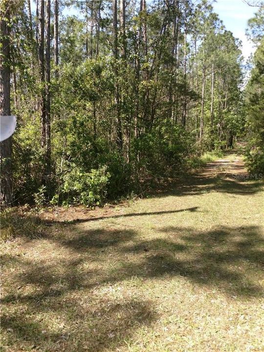 Recently Sold: $19,000 (2.50 acres)