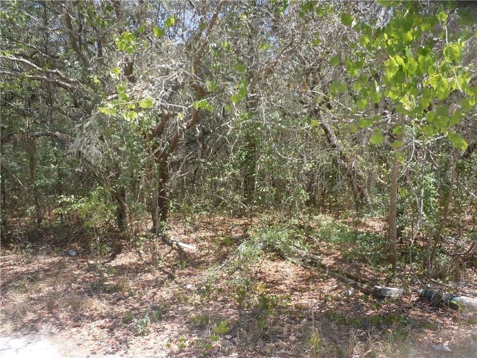 Vendido Recientemente: $14,500 (0.41 acres)