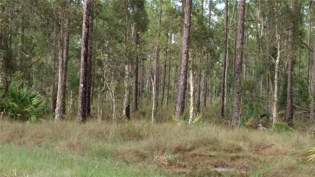 Vendido Recientemente: $8,500 (0.50 acres)