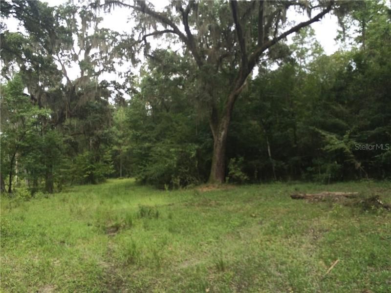 Vendido Recientemente: $990,000 (105.50 acres)