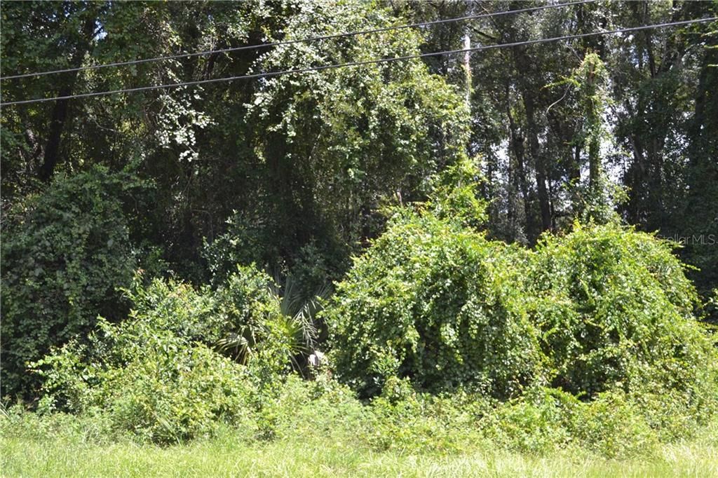 Недавно продано: $5,900 (0.22 acres)
