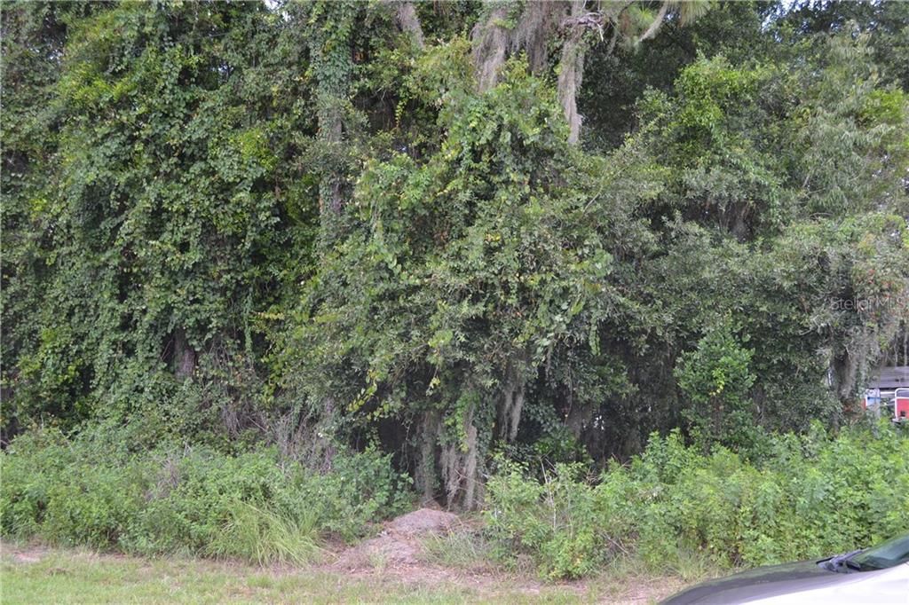 Недавно продано: $5,900 (0.22 acres)