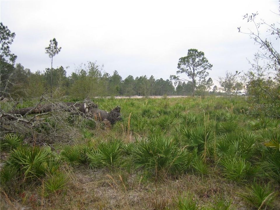 На продажу: $249,000 (6.86 acres)