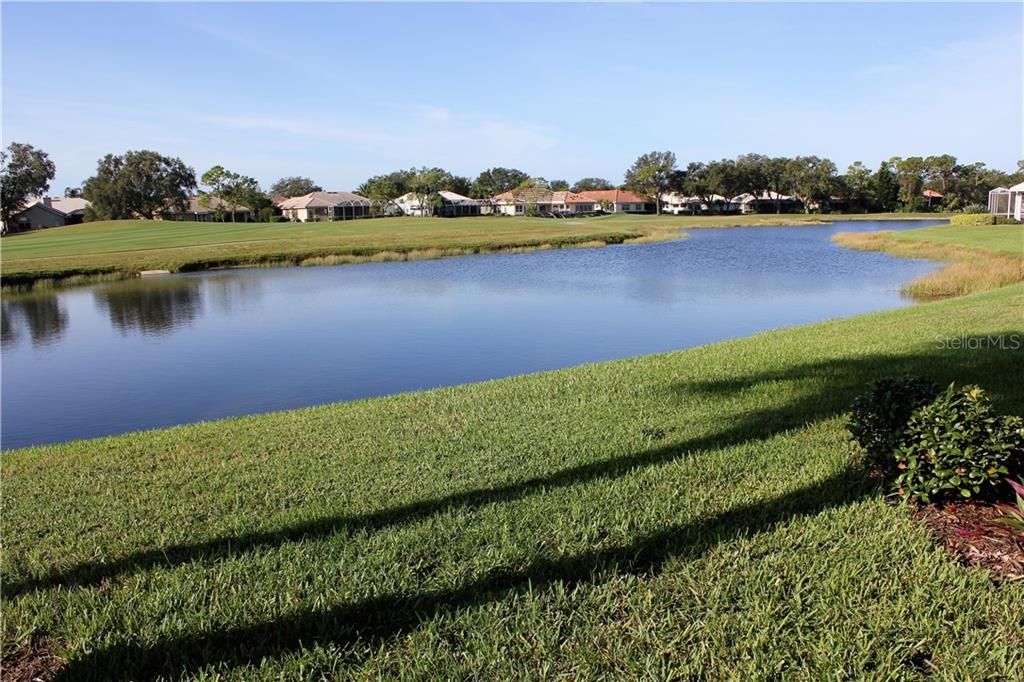 View from the lanai!  Plenty of wildlife to see both on & off the course, LOL!  Home is located on a par 5 (hole #6) of VGCC's private course!  Absolutely gorgeous!  Bring your fishing pole...plenty to catch as well in these ponds!