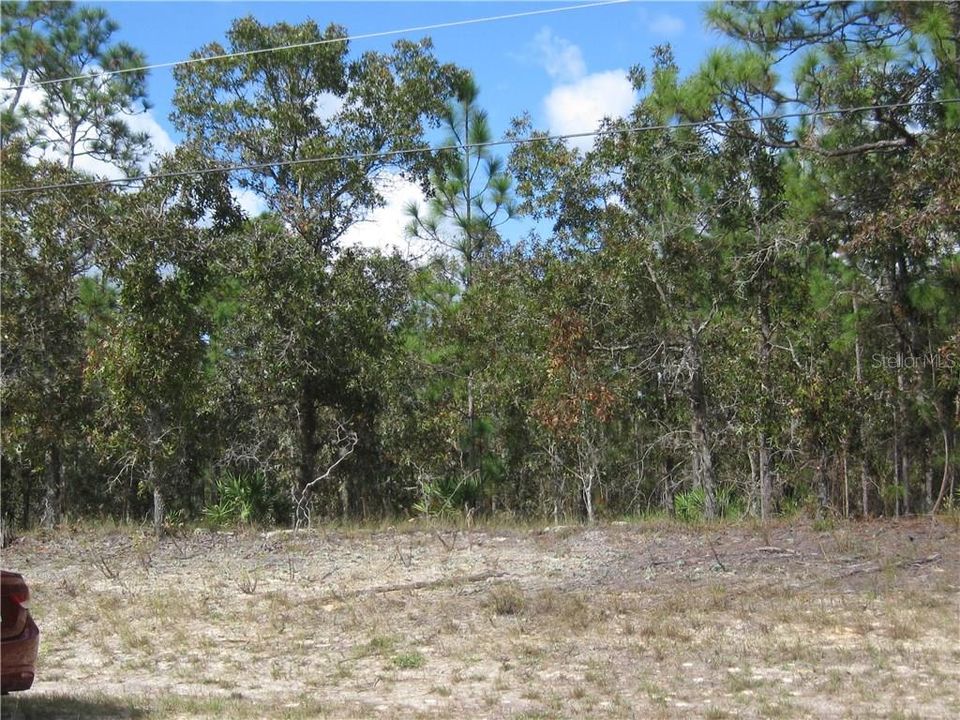 Недавно продано: $21,900 (1.14 acres)