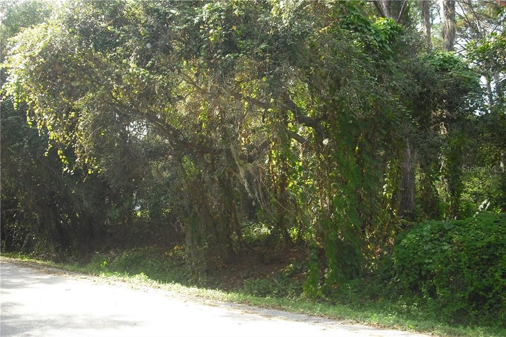 Recently Sold: $90,000 (0.69 acres)