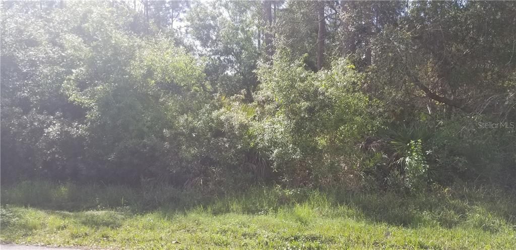 最近售出: $4,500 (0.23 acres)