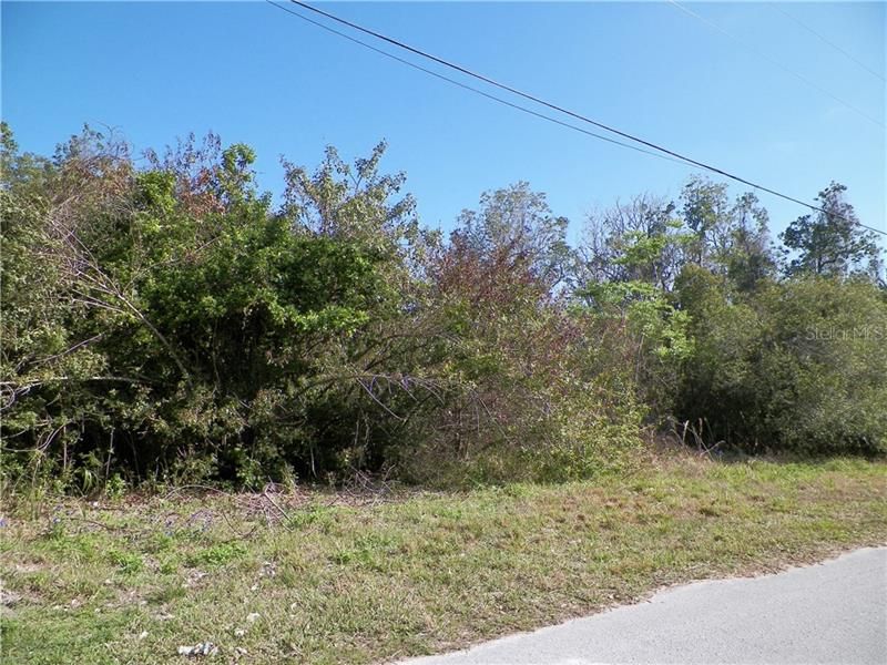 Recently Sold: $5,000 (0.29 acres)