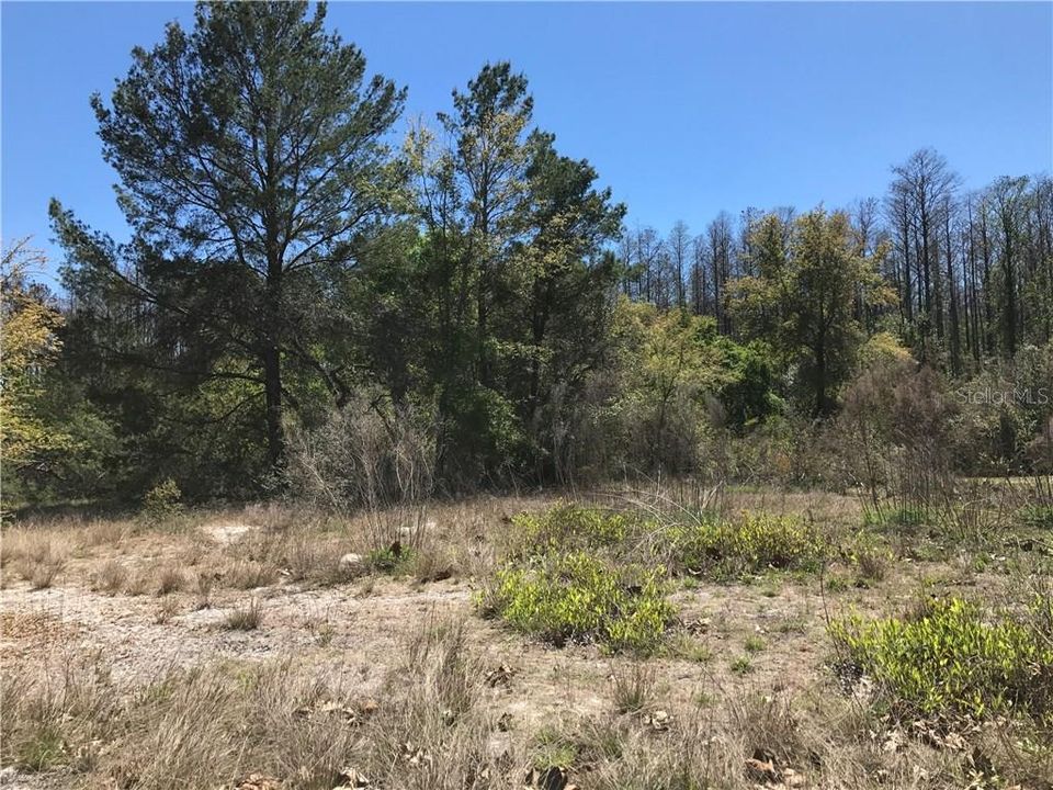 Недавно продано: $65,000 (1.72 acres)