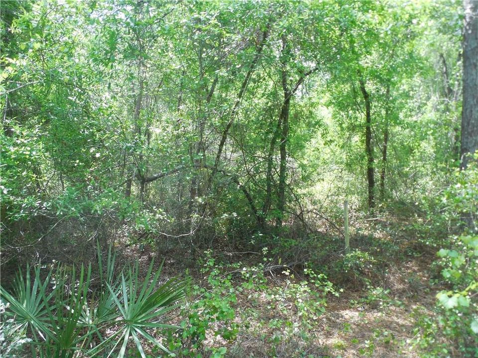 Recently Sold: $11,000 (0.35 acres)