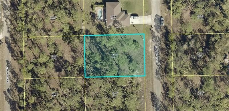 Recently Sold: $5,500 (0.25 acres)