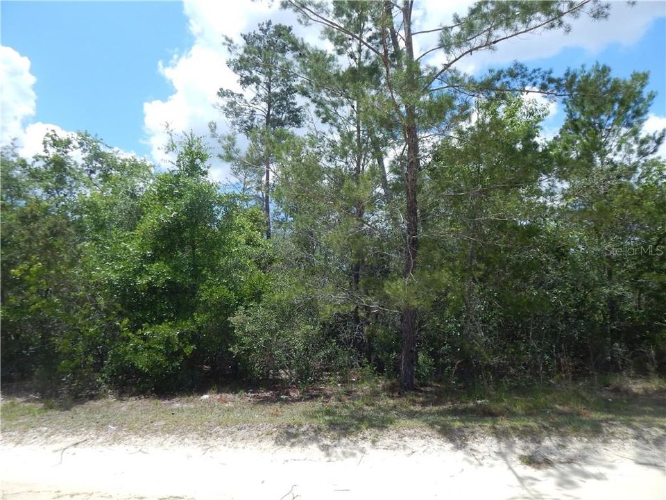Vendido Recientemente: $8,900 (0.26 acres)