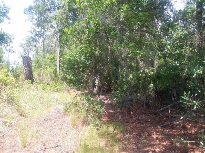 Recently Sold: $58,000 (9.00 acres)