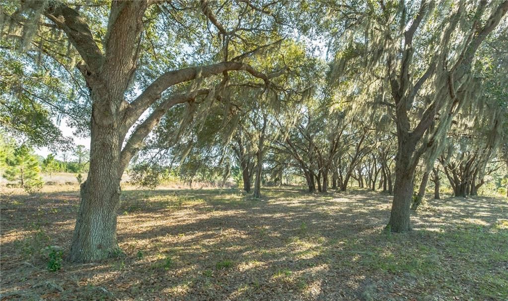 Recently Sold: $47,000 (1.90 acres)
