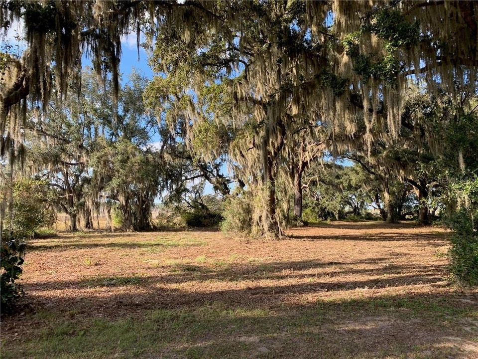 Recently Sold: $47,000 (1.90 acres)