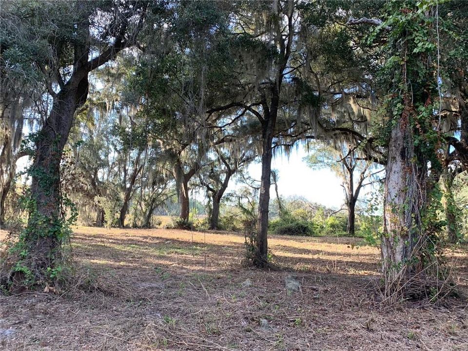 Vendido Recientemente: $47,000 (1.90 acres)