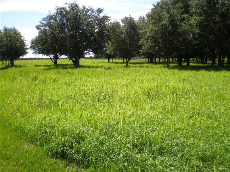 Recently Sold: $77,900 (5.83 acres)