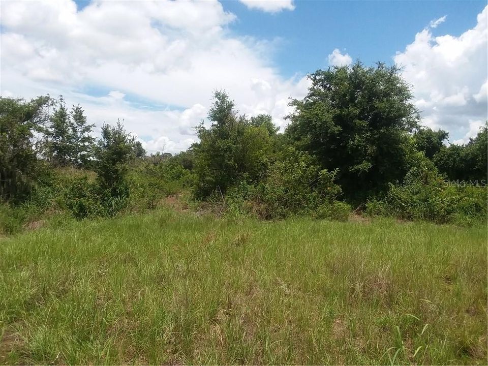 最近售出: $99,000 (5.00 acres)