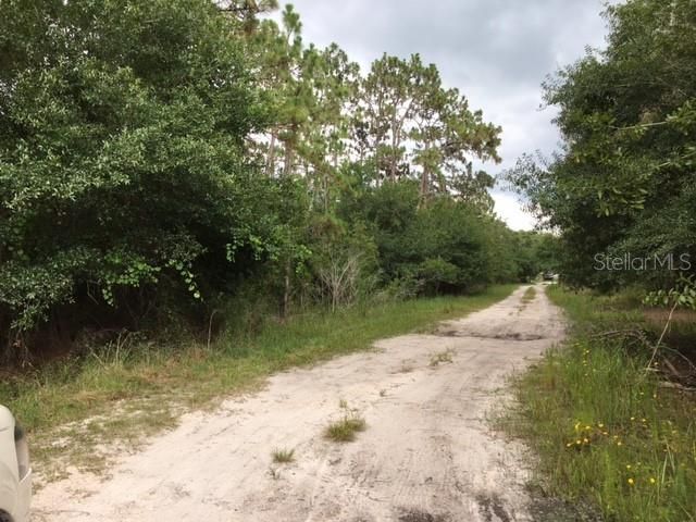 Road along South property line