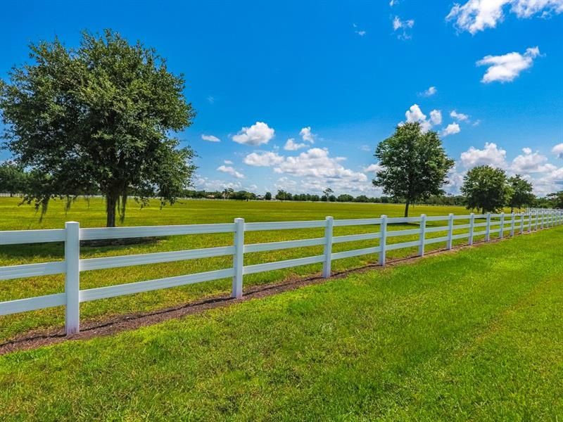 It sounds like a small thing but the White Fencing does make a difference when compared to other communities