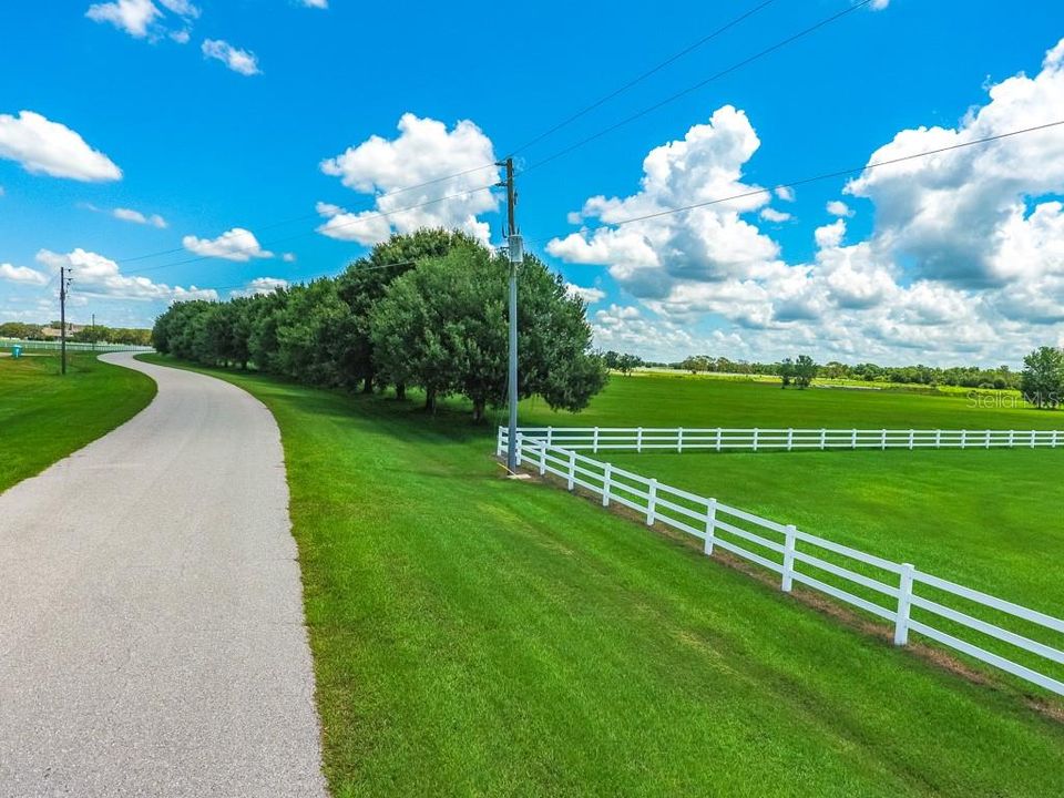 Paved Roads, White Fences and Mature trees