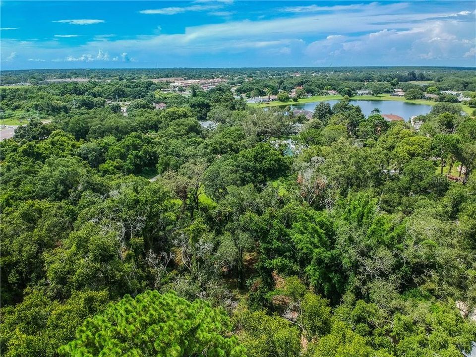 Vendido Recientemente: $39,900 (1.00 acres)