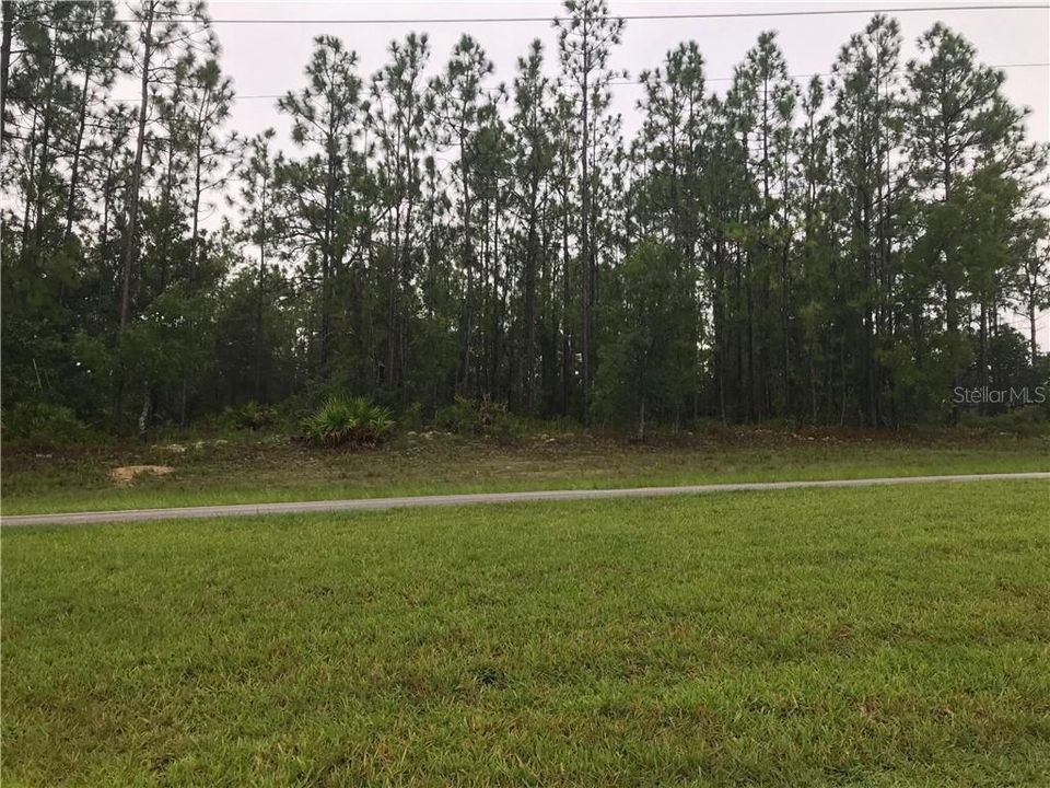Recently Sold: $8,900 (0.35 acres)