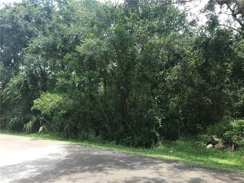 Recently Sold: $18,000 (0.31 acres)