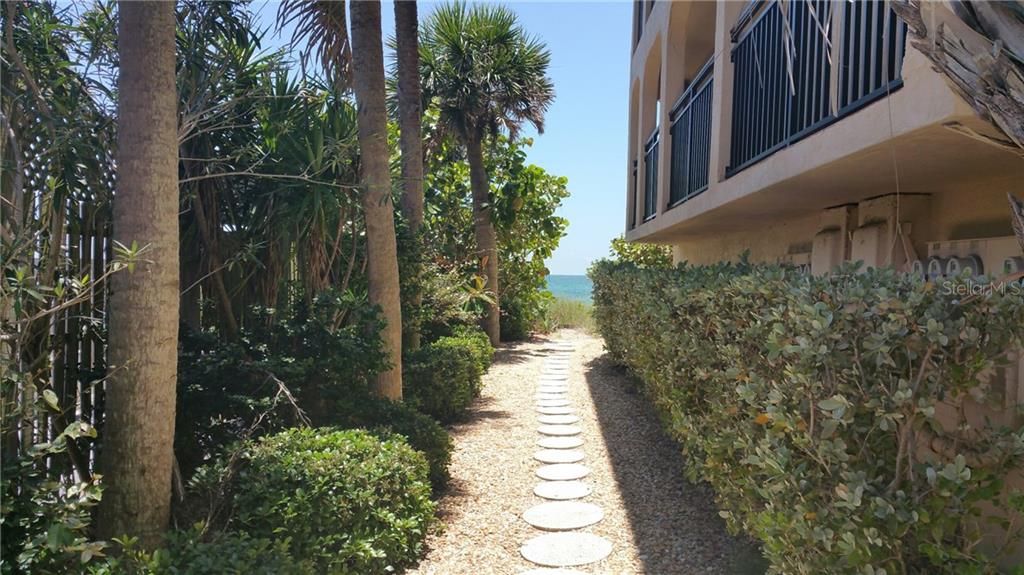 Pathway offers convenient, easy access to beach! This is just one of the two El Galeon by the Sea's beach accesses.