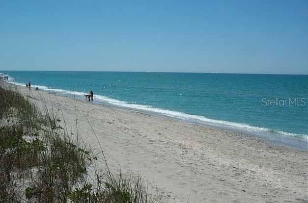 Englewood Beach offers many activities for beach-goers such as shelling and beach yoga.