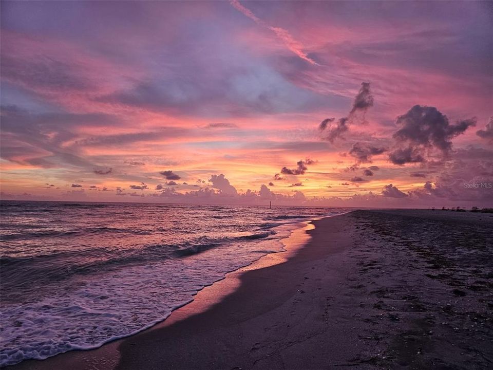 Englewood Beach offers many activities for beach-goers such as shelling and beach yoga.