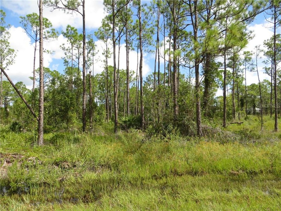 Недавно продано: $3,300 (0.17 acres)