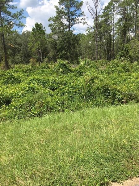 Recently Sold: $7,000 (1.06 acres)