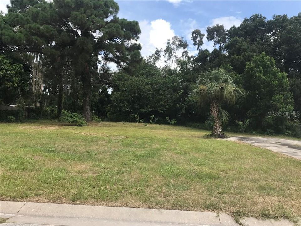 Lot 21