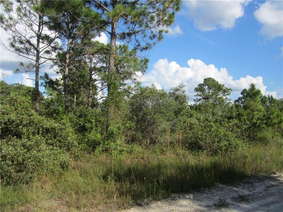 Vendido Recientemente: $45,500 (1.25 acres)