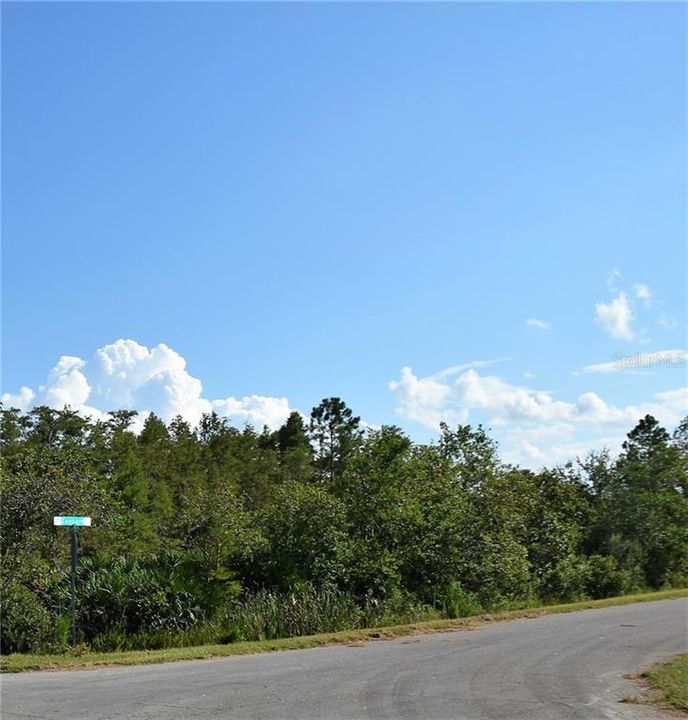 最近售出: $55,000 (1.13 acres)
