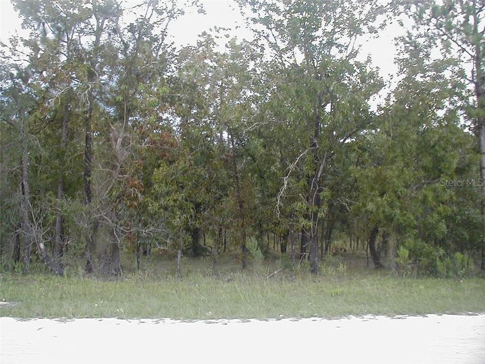 最近售出: $7,900 (0.46 acres)