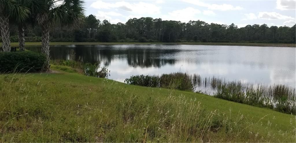Vendido Recientemente: $475,000 (0.58 acres)