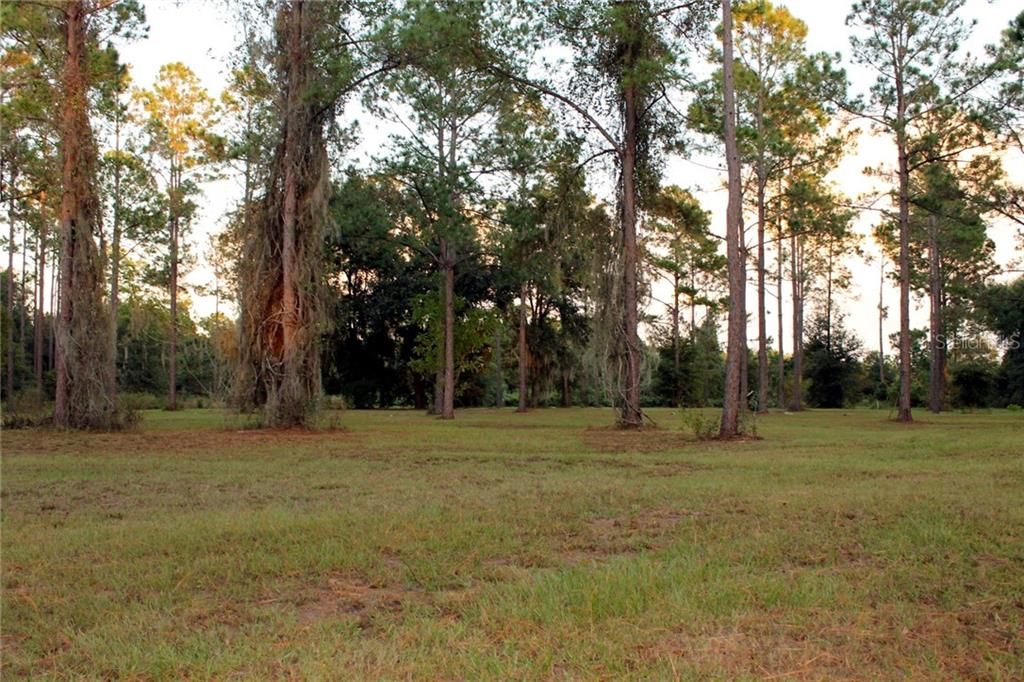 Place your home among these trees