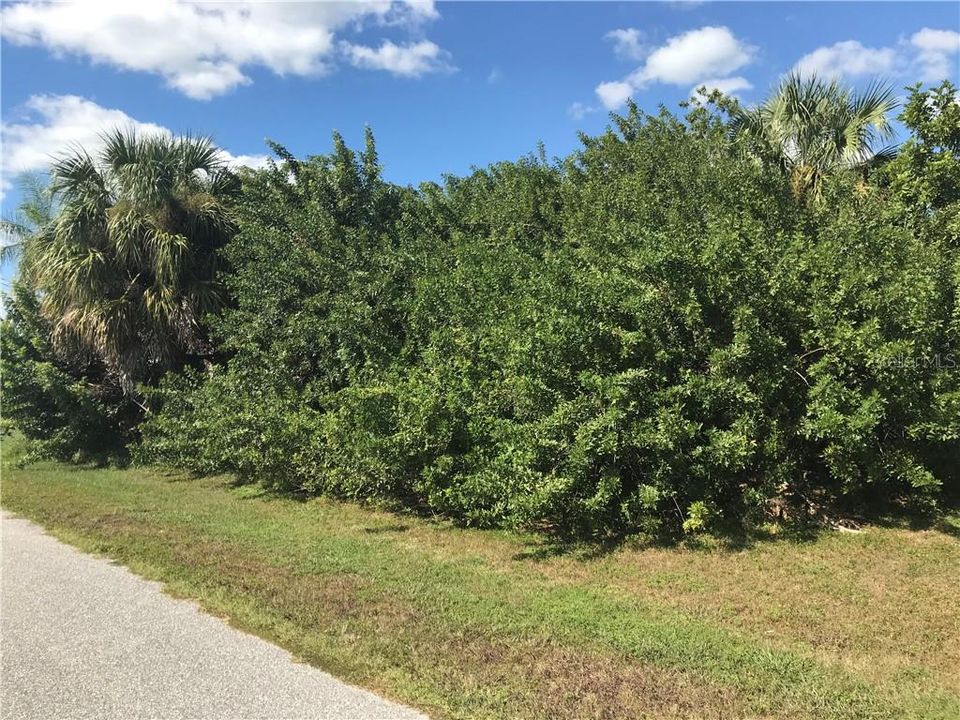 Vendido Recientemente: $49,900 (0.23 acres)