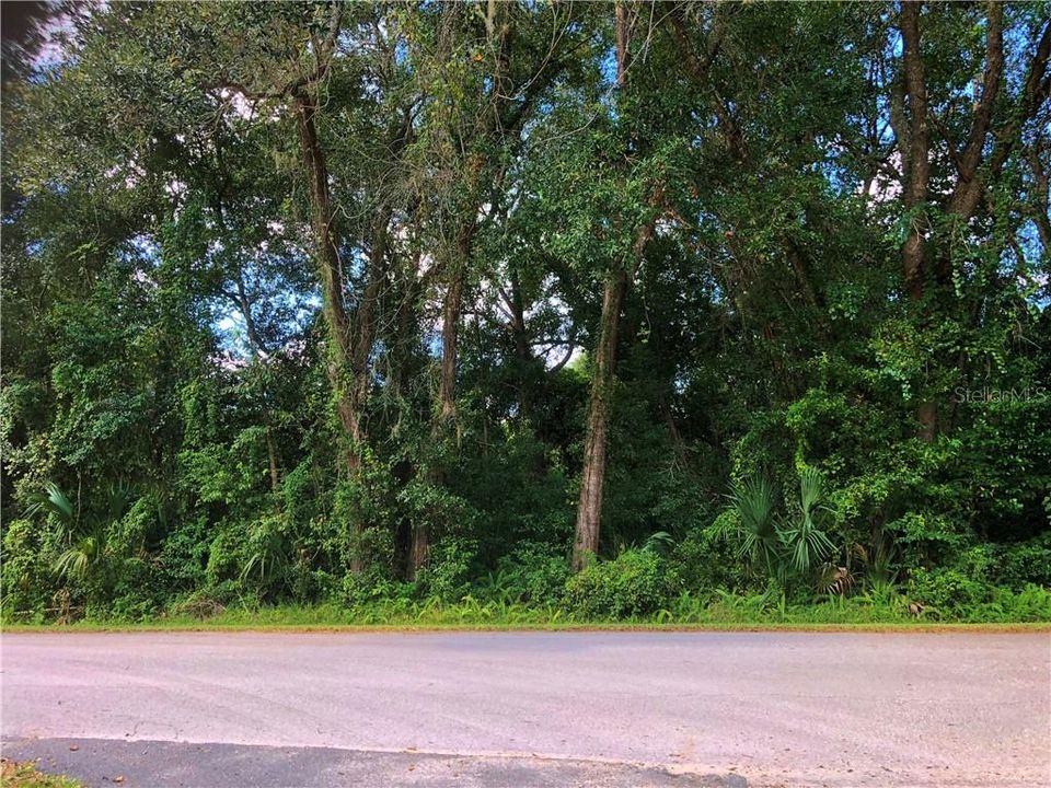Недавно продано: $6,000 (0.94 acres)