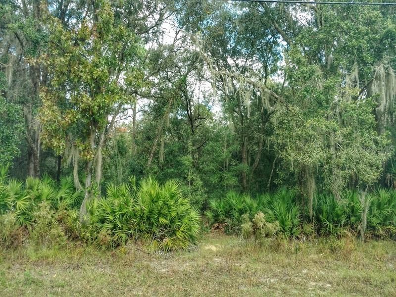 Recently Sold: $55,000 (5.85 acres)