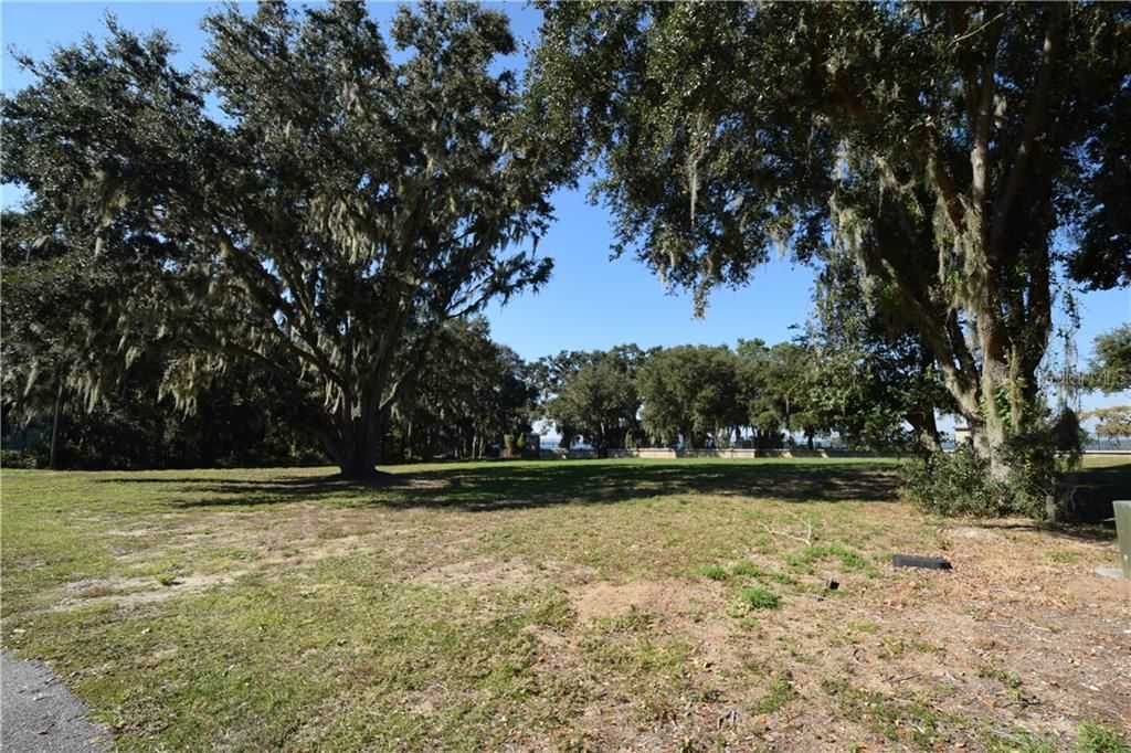 LOT TOWARD LAKE